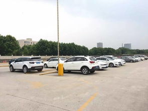 嘉定行政服務中心新停車場即將啟用，辦事停車更方便