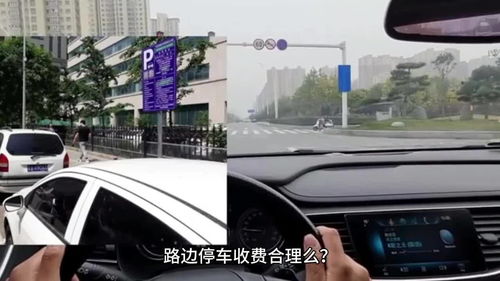 停車收費亂象 只收費不服務的背后隱憂