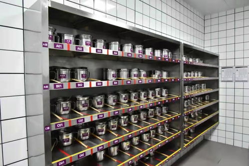 盛世開元喜宴酒店隆重舉行4D食品安全現場管理體系驗收表彰大會，引領行業管理新風尚